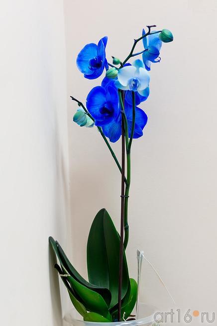 ::Школа № 35, Казань