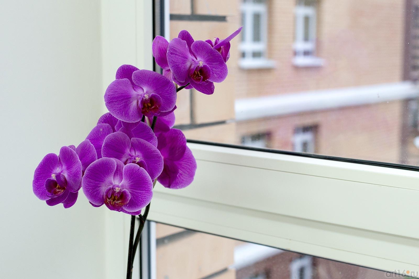 ::Школа № 35, Казань