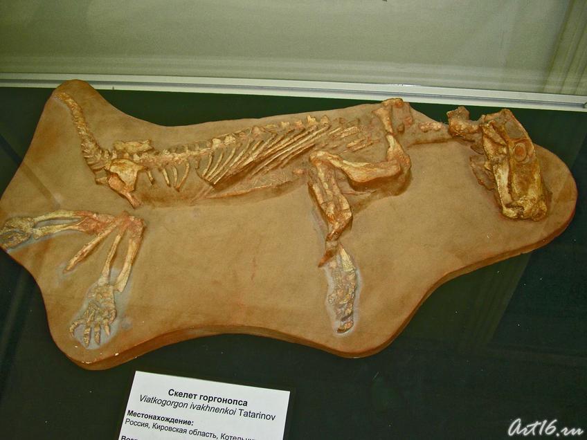 Скелет горгонопса::Парк пермского периода