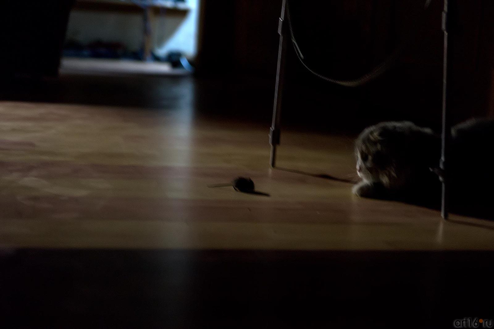 Кот и мышь. Охота::Коллекция