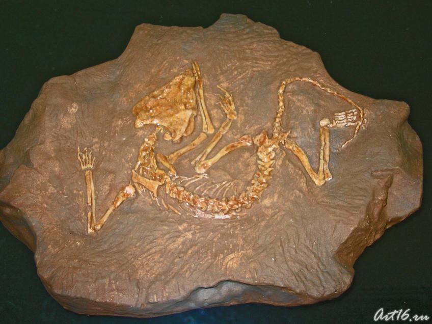 Скелет рипеозавра эмеролетера::Парк пермского периода