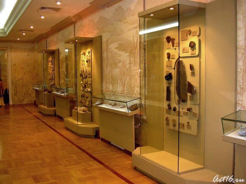 Мир древней жизни::Экспозиция музея Природы