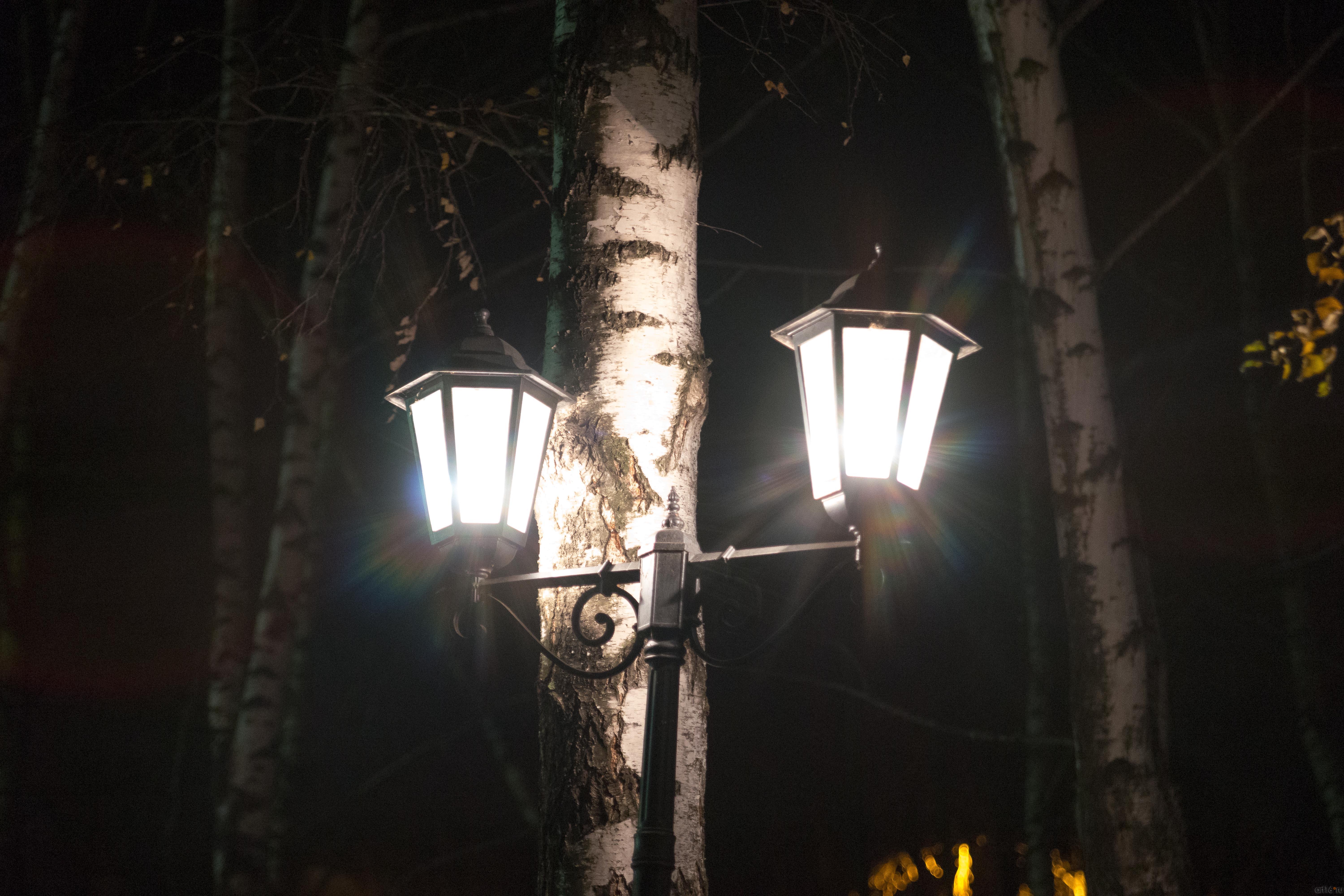 фонарь возле здания БКЗ::Фото для статей