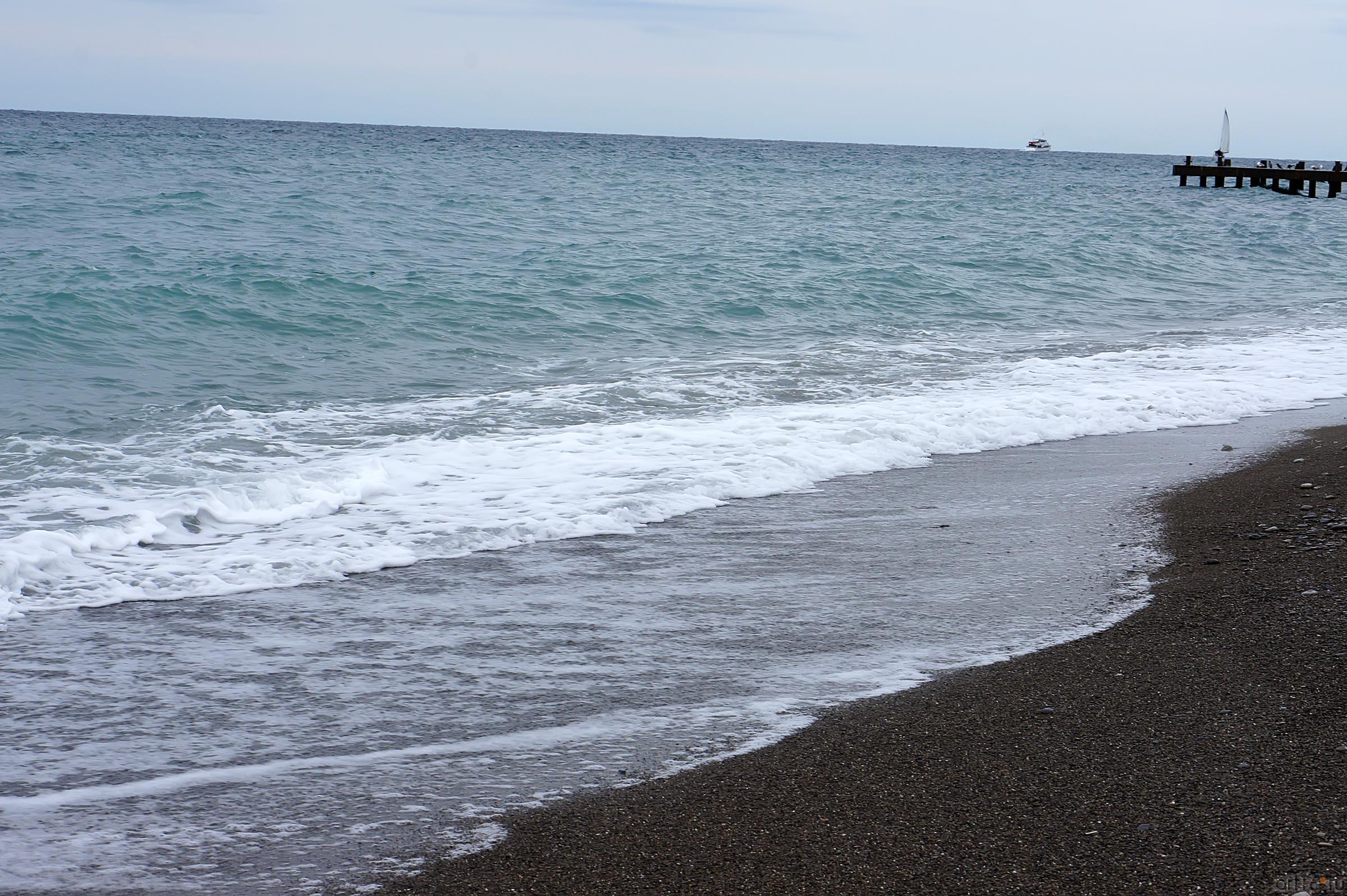 На берегу Черного моря::Ялта