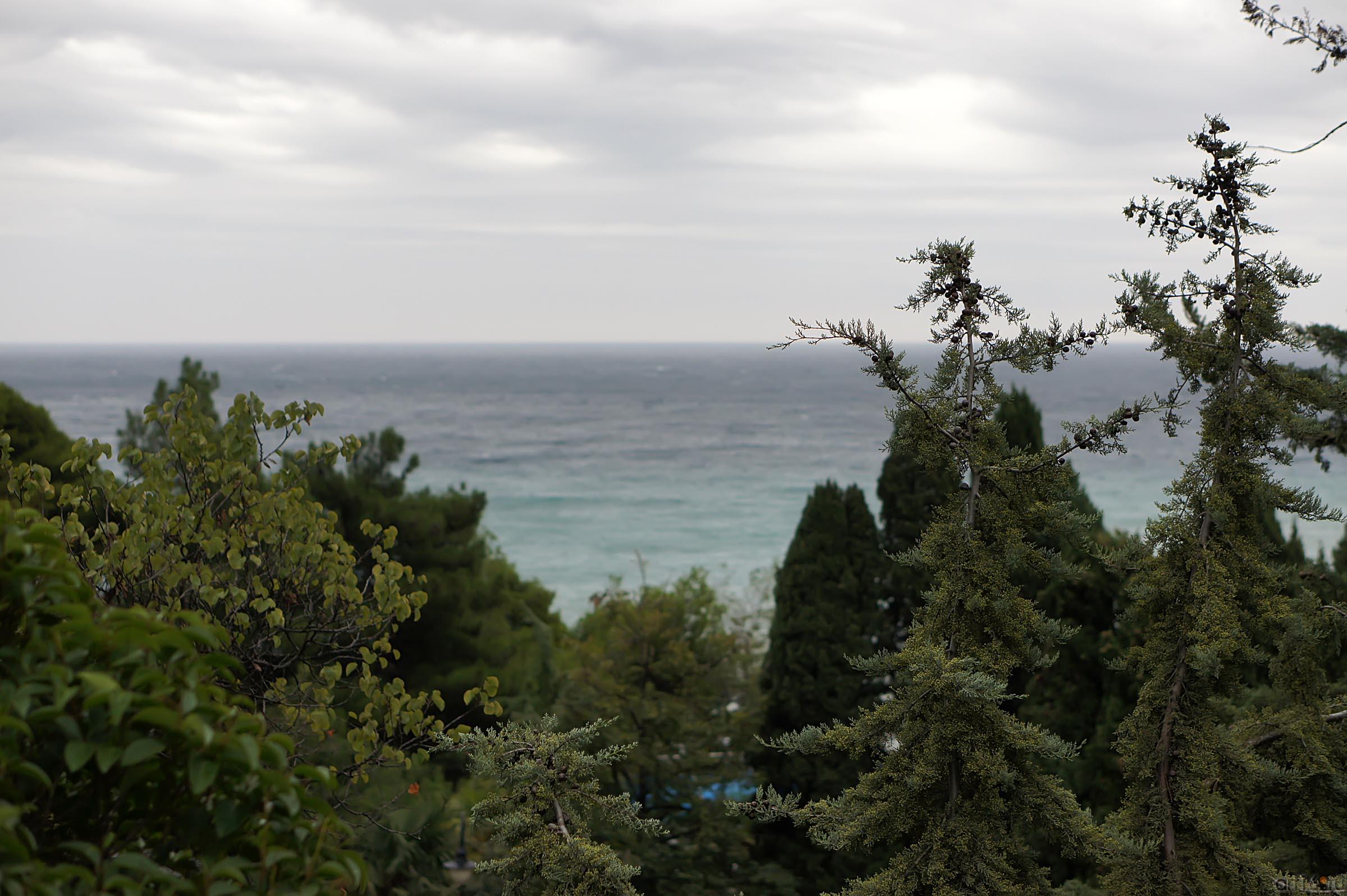 Черное море::Ялта