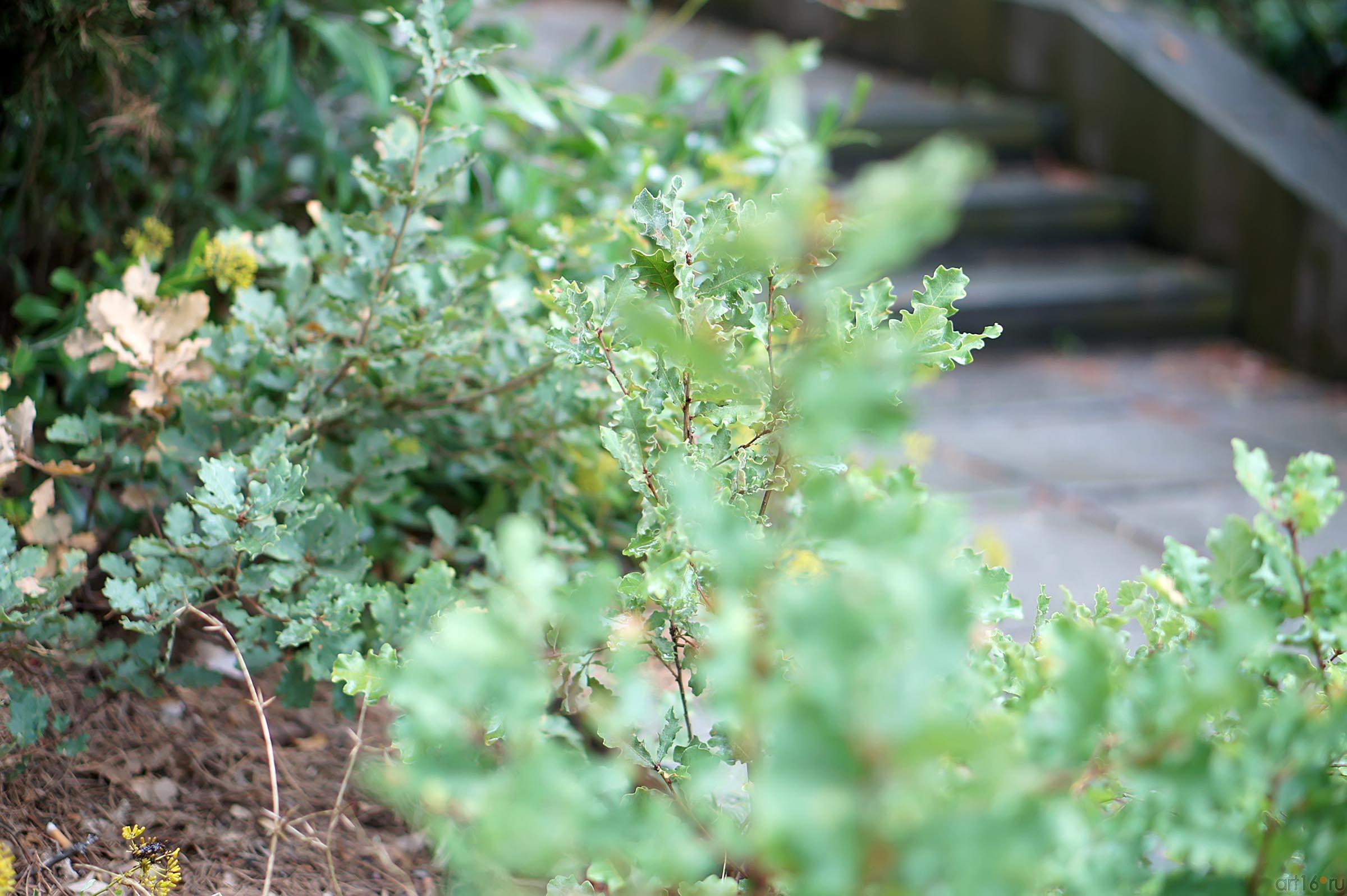 В Ливадийском парке::Парк в Ливадии