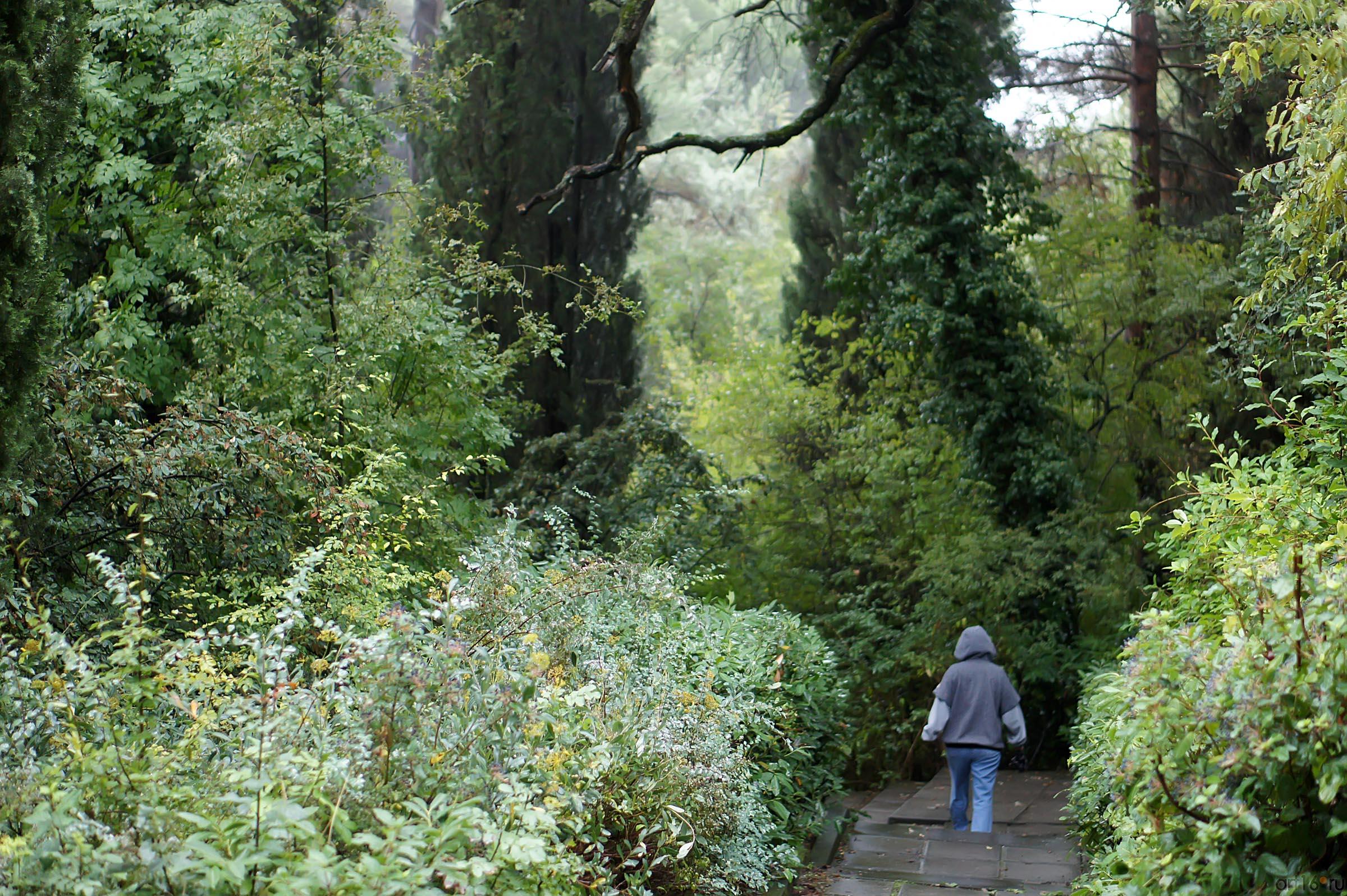 По дорожкам Ливадийского парка::Парк в Ливадии