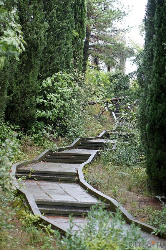 Дорожка к ротонде. Ливадийский парк::Парк в Ливадии