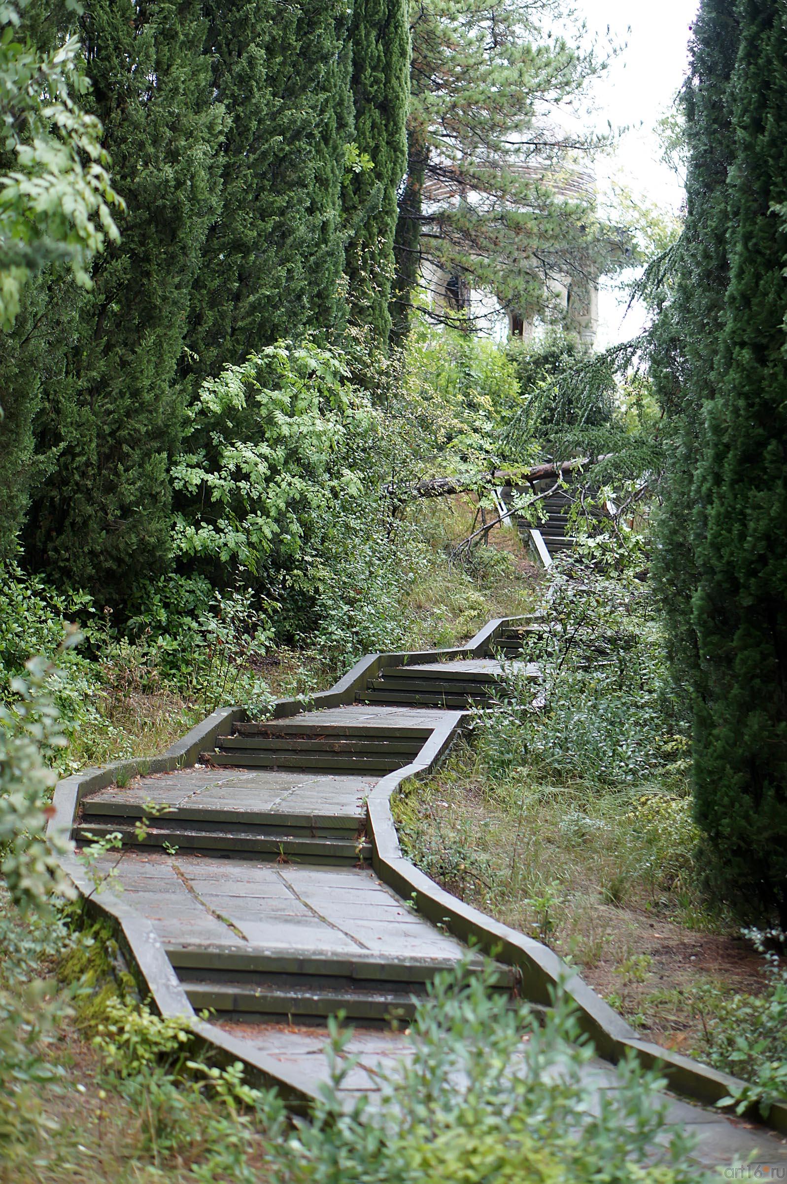 Дорожка к ротонде. Ливадийский парк::Парк в Ливадии