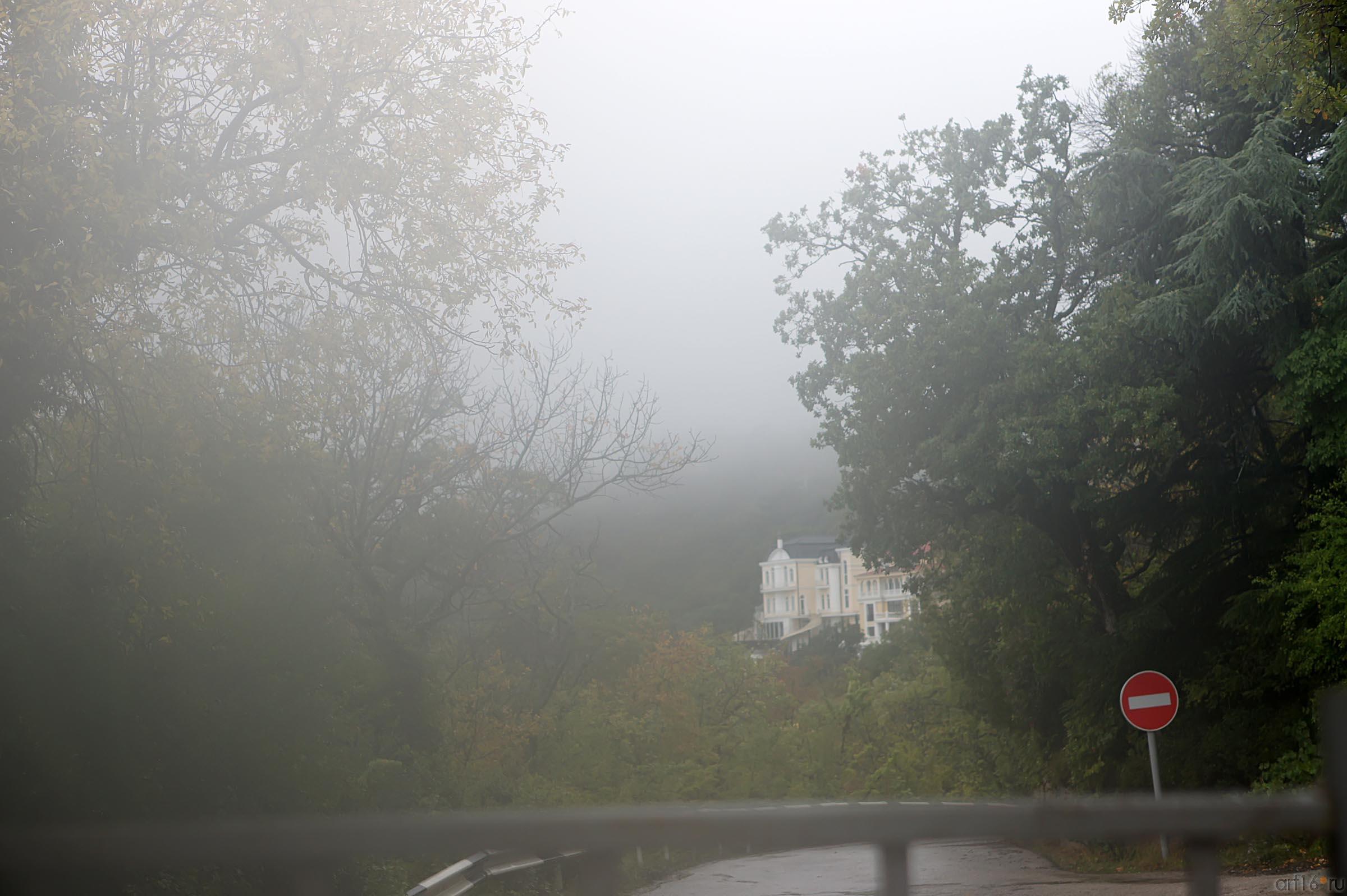 Крым, Ялта. В окрестностях Ливадийского парка::Парк в Ливадии