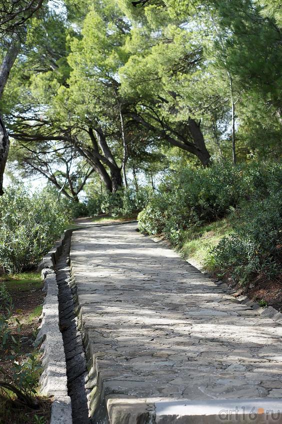 Дорожки Воронцовского парка::Воронцовский парк