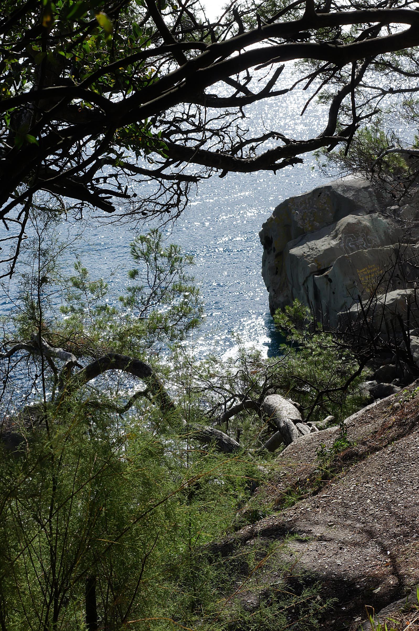 Воронцовский парк. У моря::Воронцовский парк