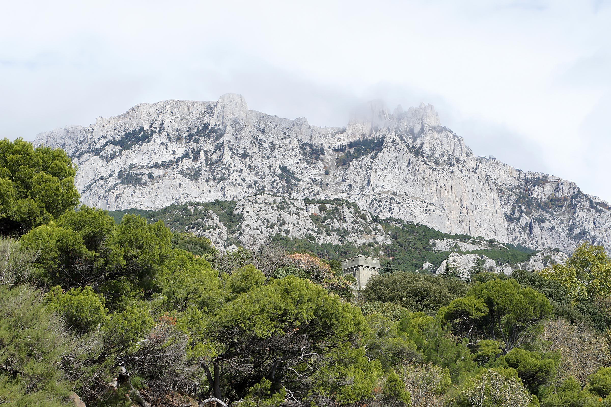 Вид на Ай-Петри от Воронцовского дворца::Воронцовский парк