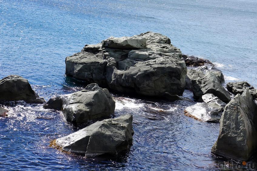 Каменные глыбы. Черное море. Район Воронцовского парка::Воронцовский парк