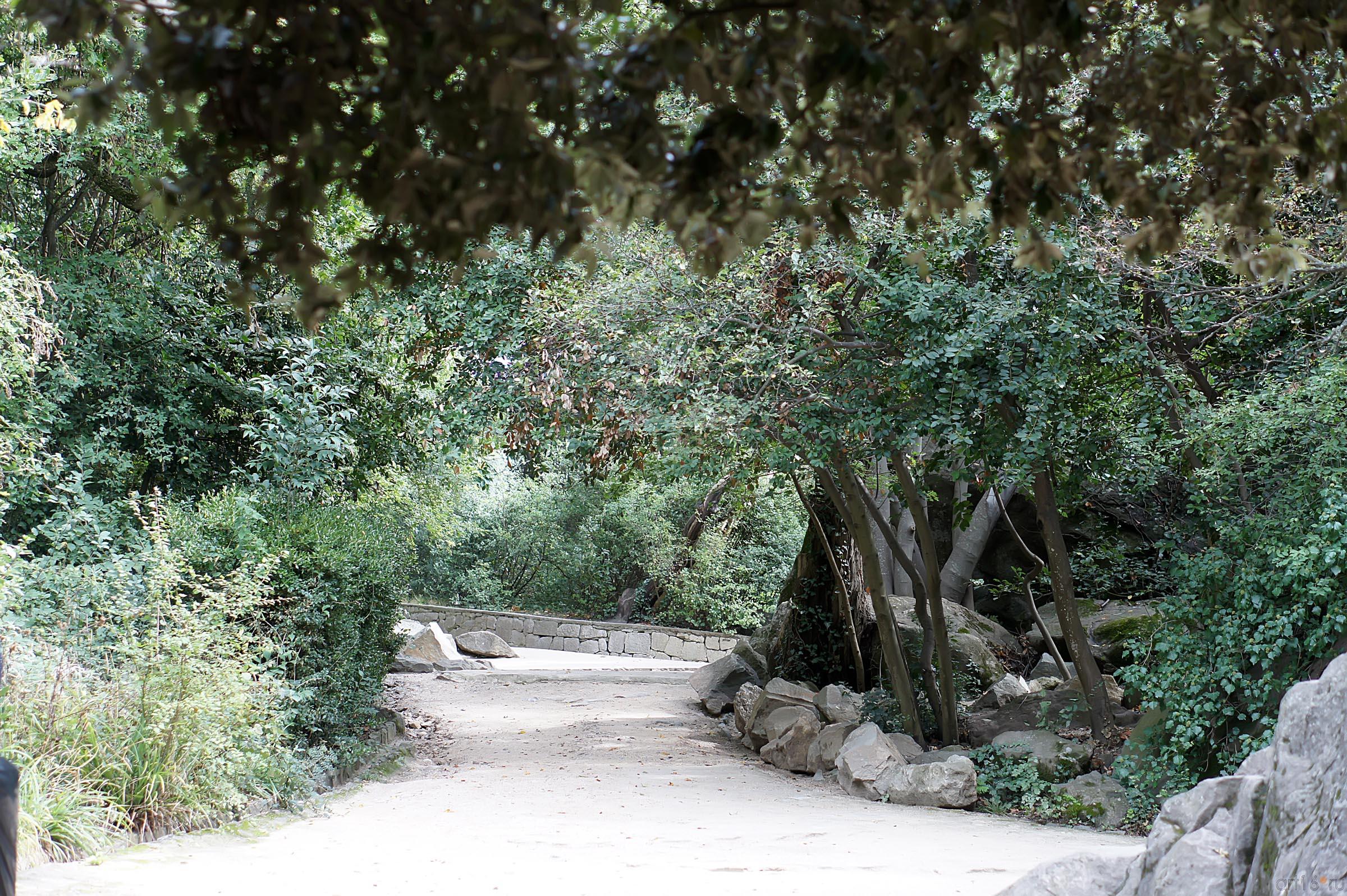 Дорожки Воронцовского парка::Воронцовский парк