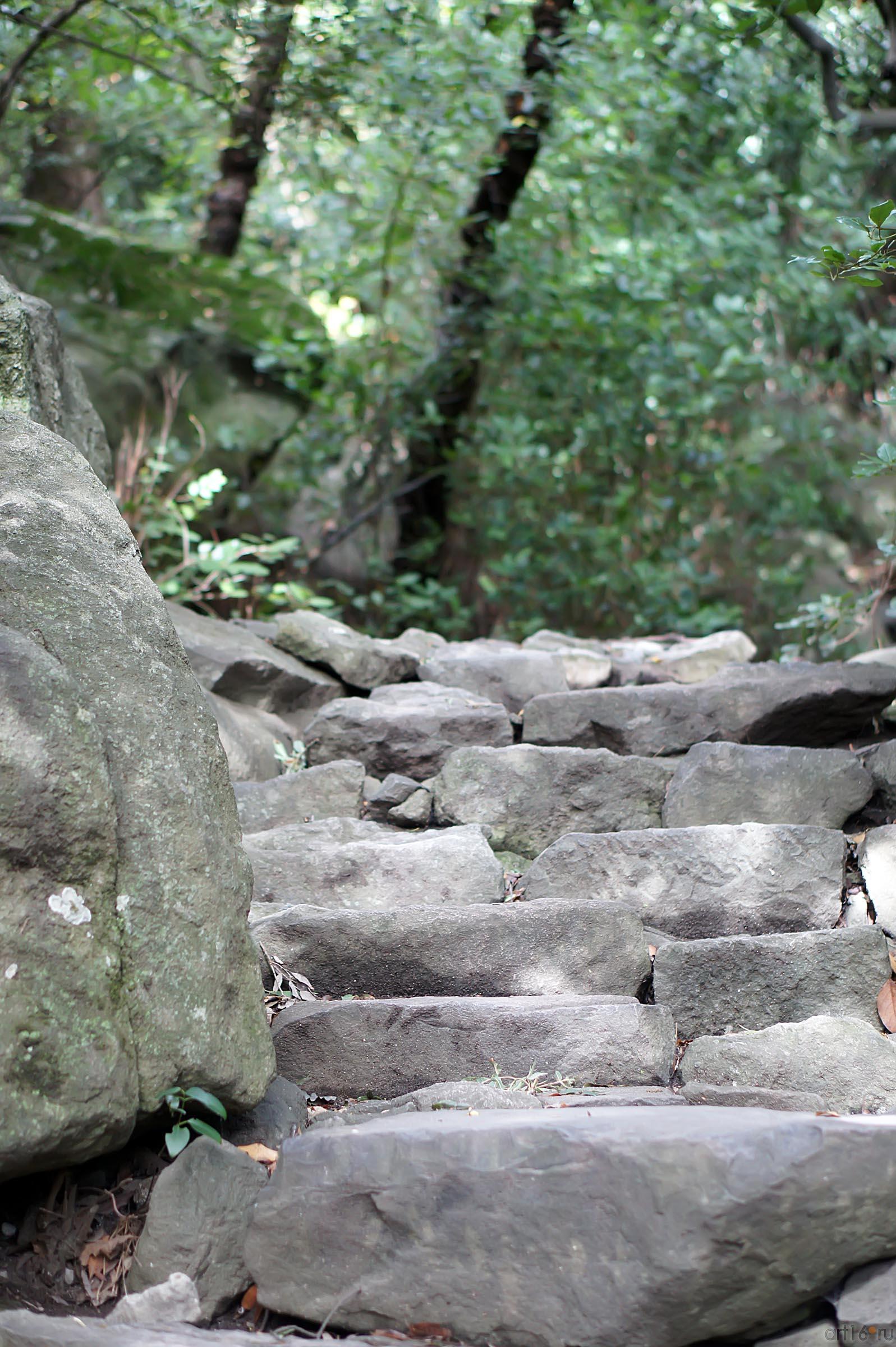 Лестницы Воронцовского парка::Воронцовский парк