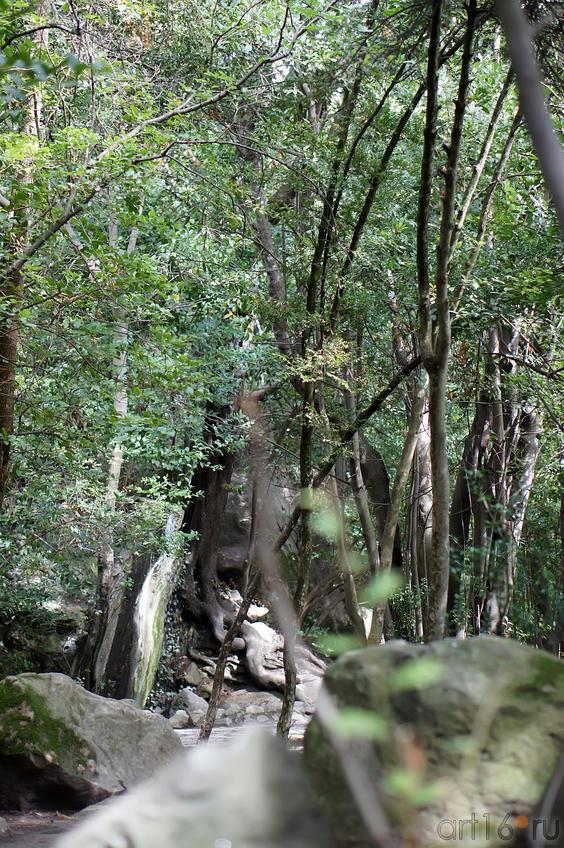 Воронцовский парк::Воронцовский парк