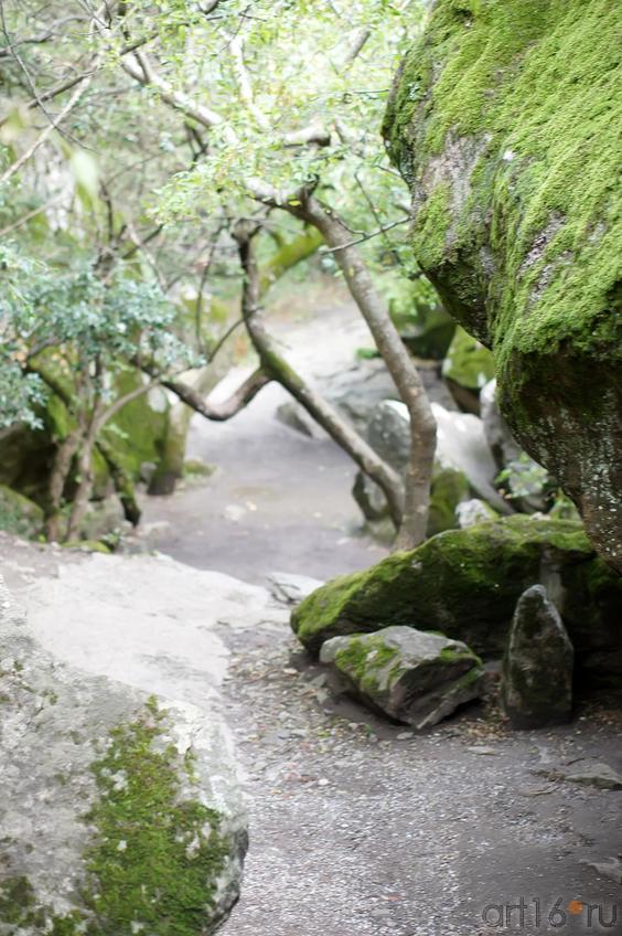 Дорожка к водопаду. Воронцовский парк::Воронцовский парк