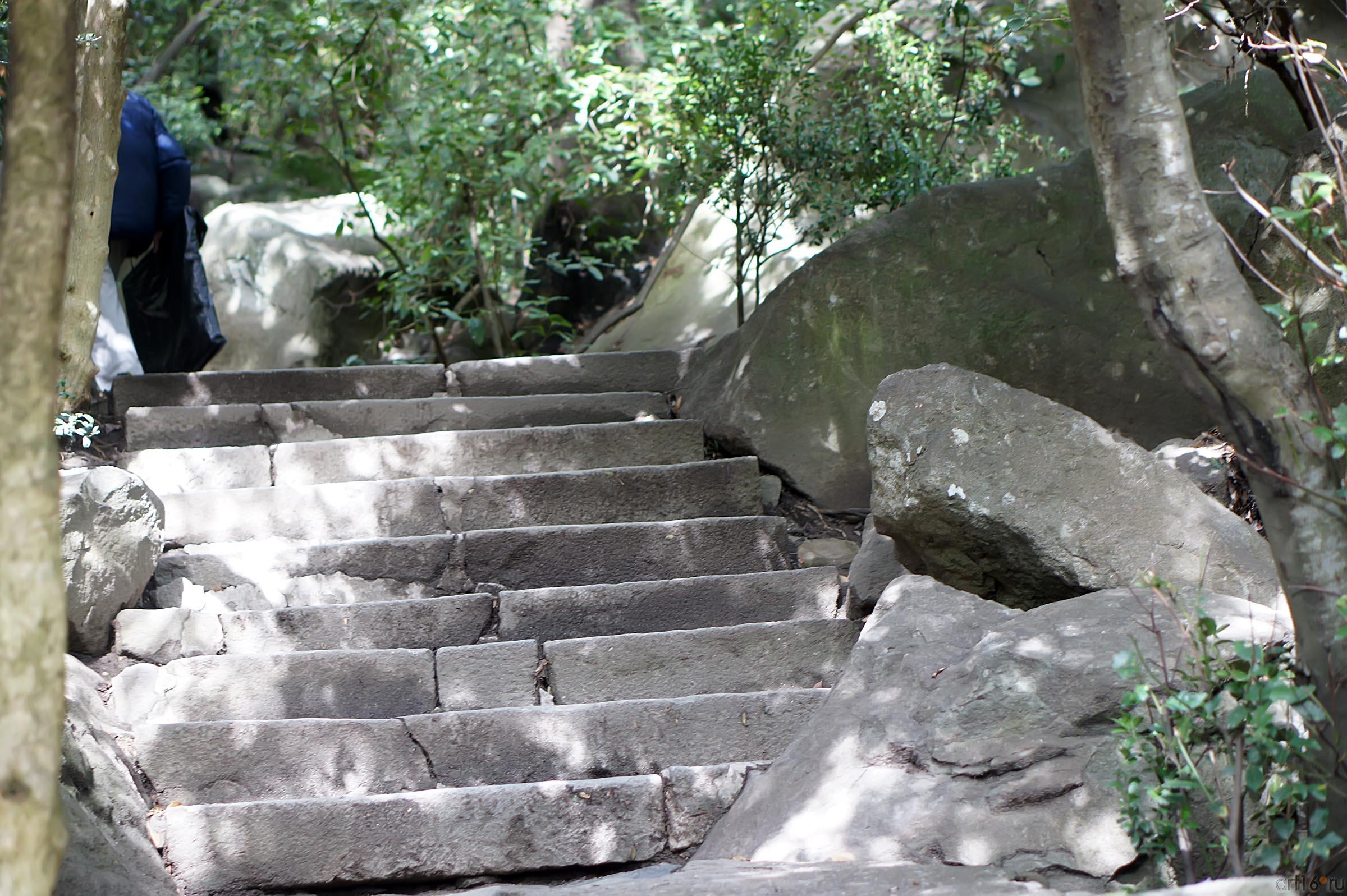 Воронцовский парк::Воронцовский парк