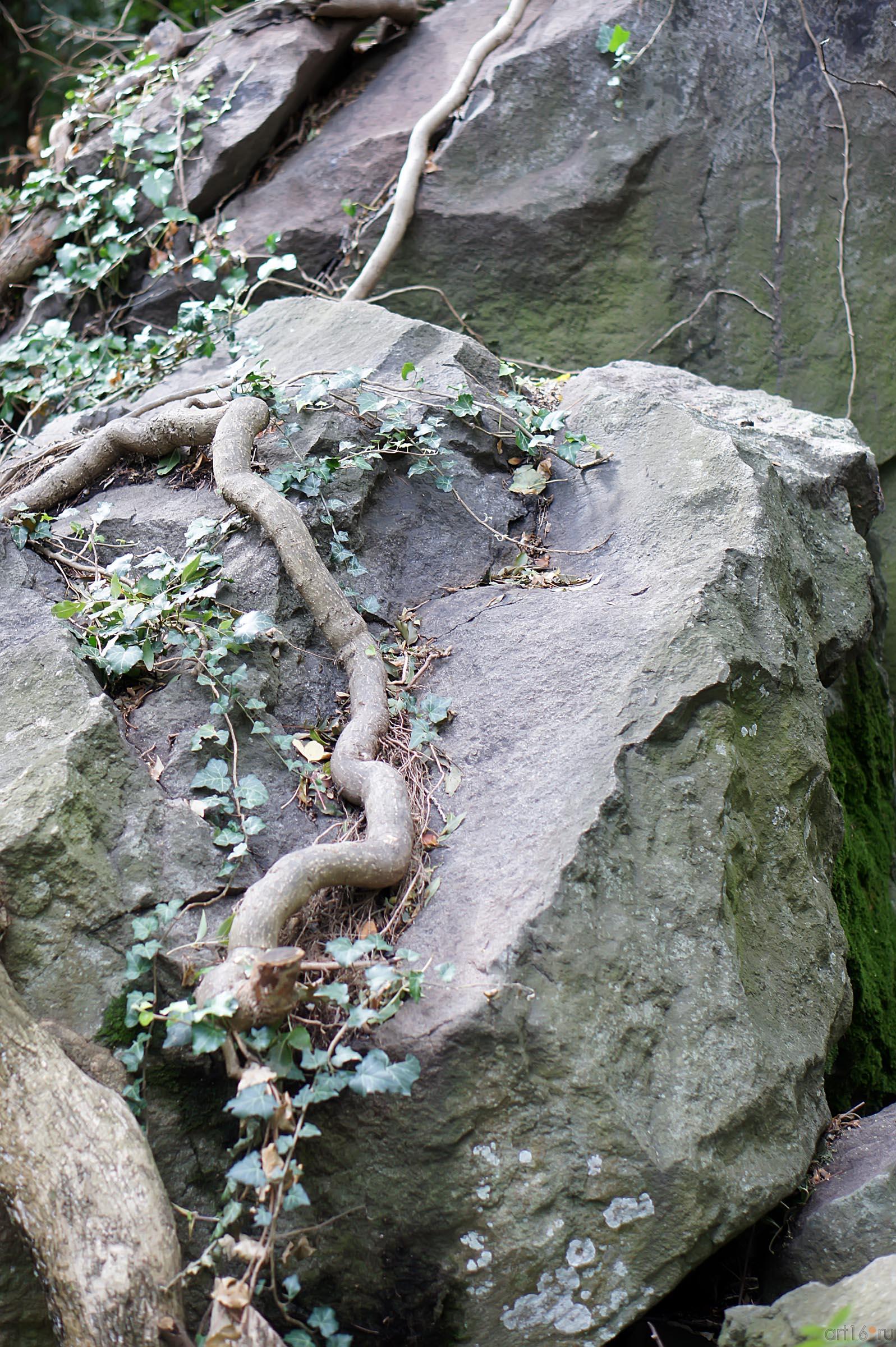 Воронцовский парк. Скалы::Воронцовский парк