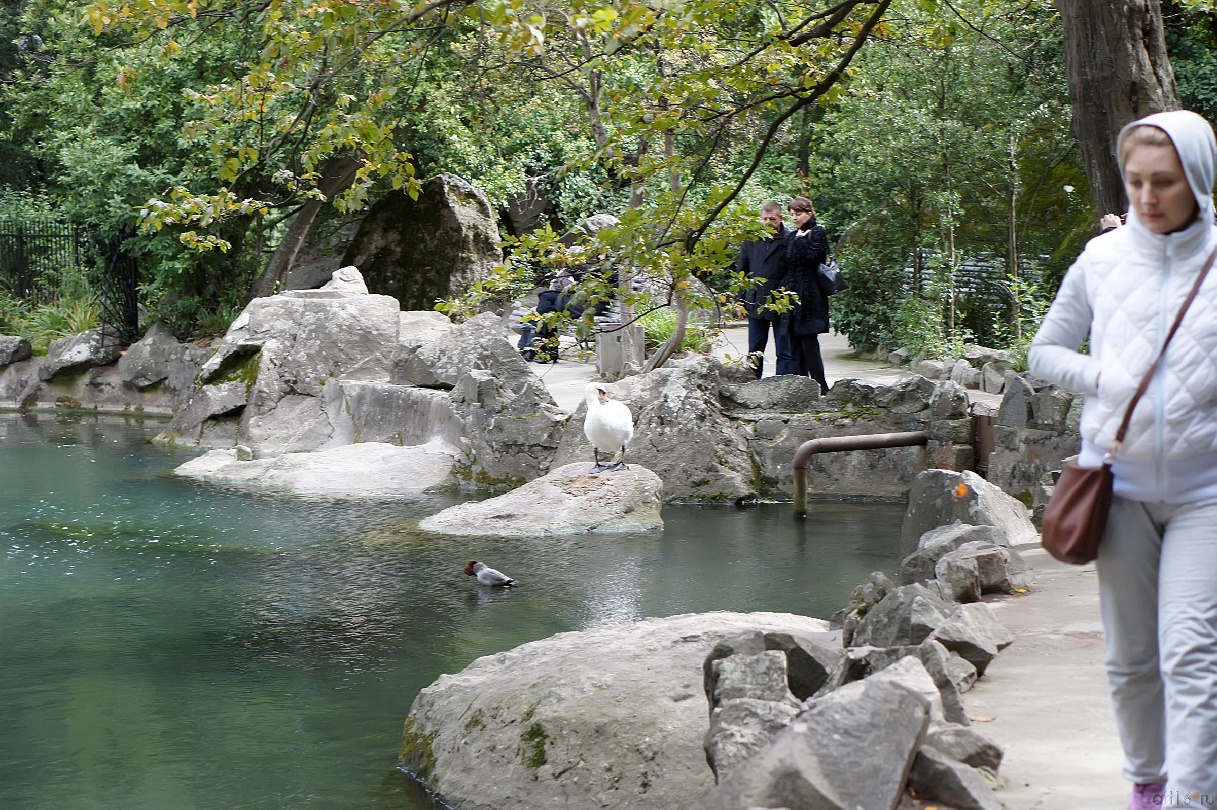 Озеро верхнего парка. Воронцовский парк::Воронцовский парк