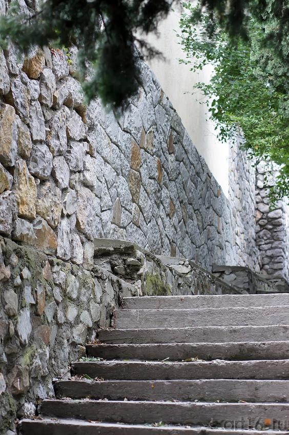 Дорожки Воронцовского парка::Воронцовский парк