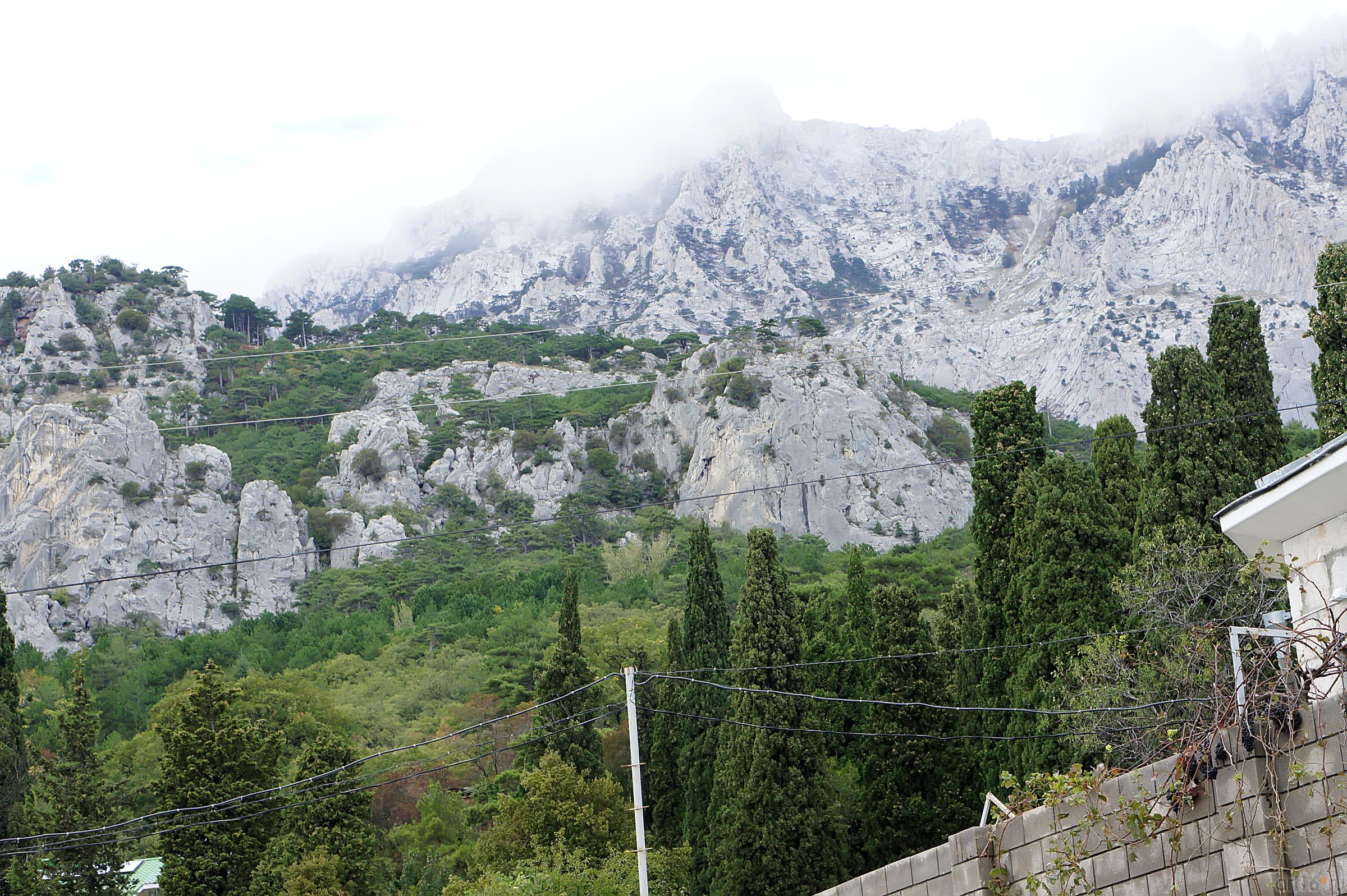 Вид на Ай-Петри::Воронцовский парк