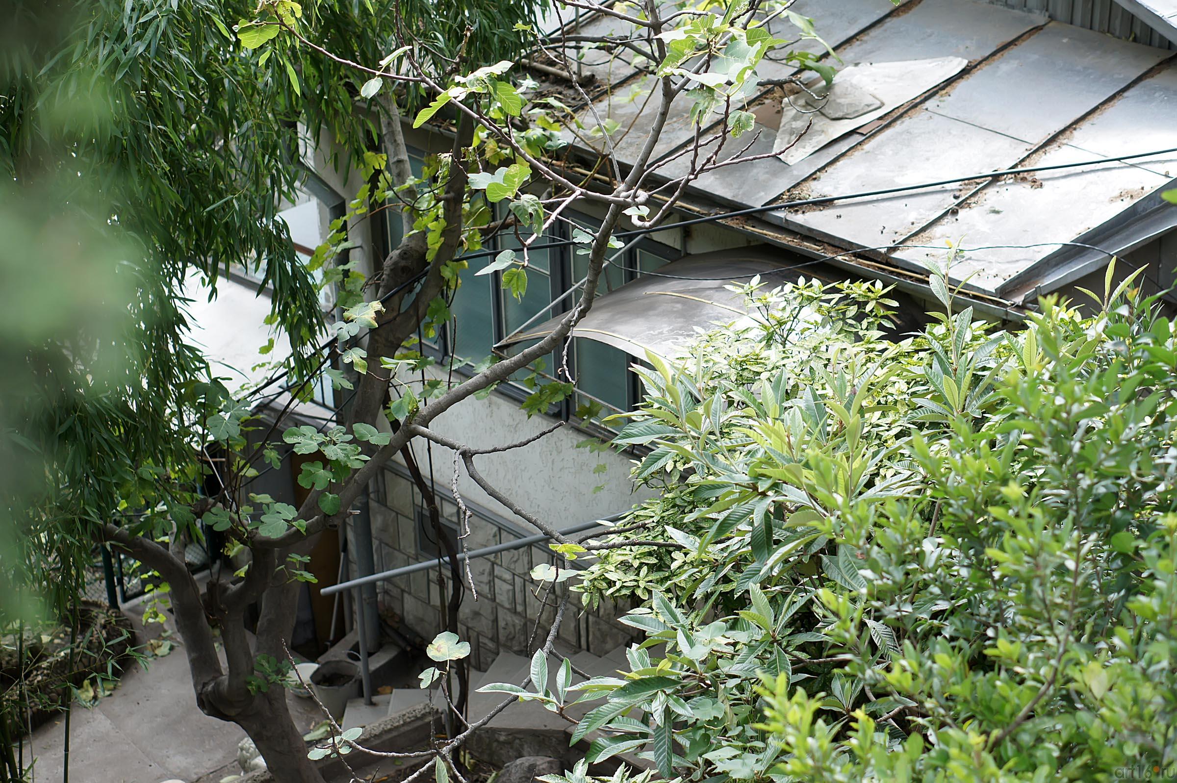 Симеиз, Крым::Симеиз