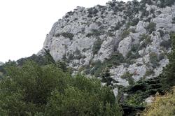Гора Кошка (фрагмент)