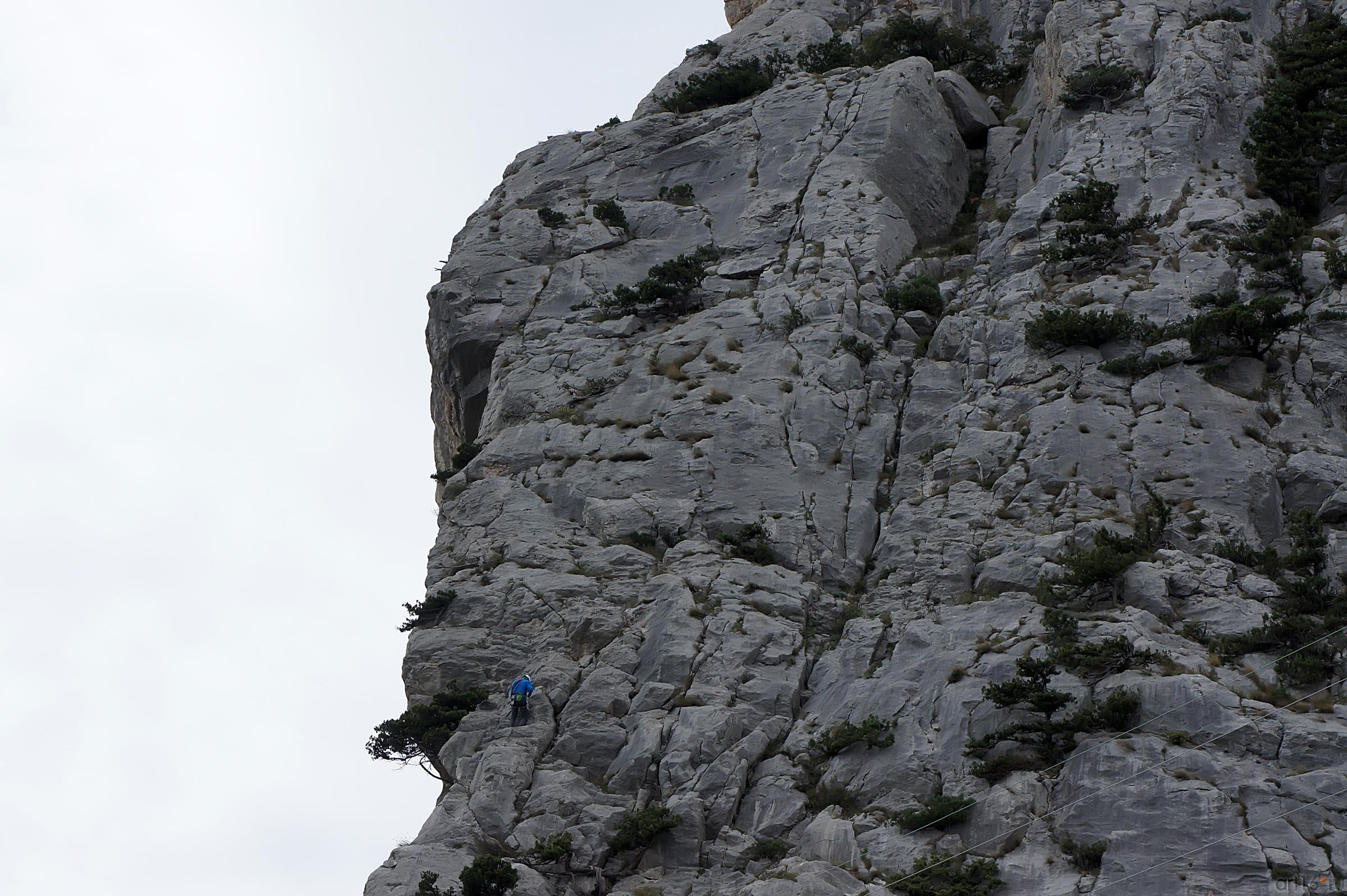 Гора Кошка (фрагмент)::Симеиз