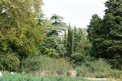 Никитский  ботанический сад