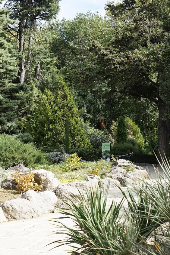 Зеленый лабиринт Никитского ботанического сада::Никитский ботанический сад