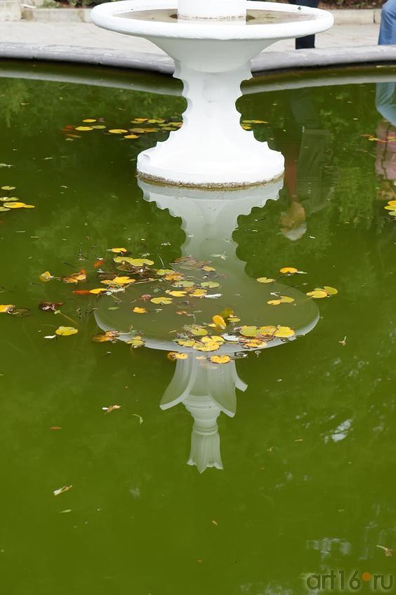 Фонтан. Никитский ботанический сад::Никитский ботанический сад