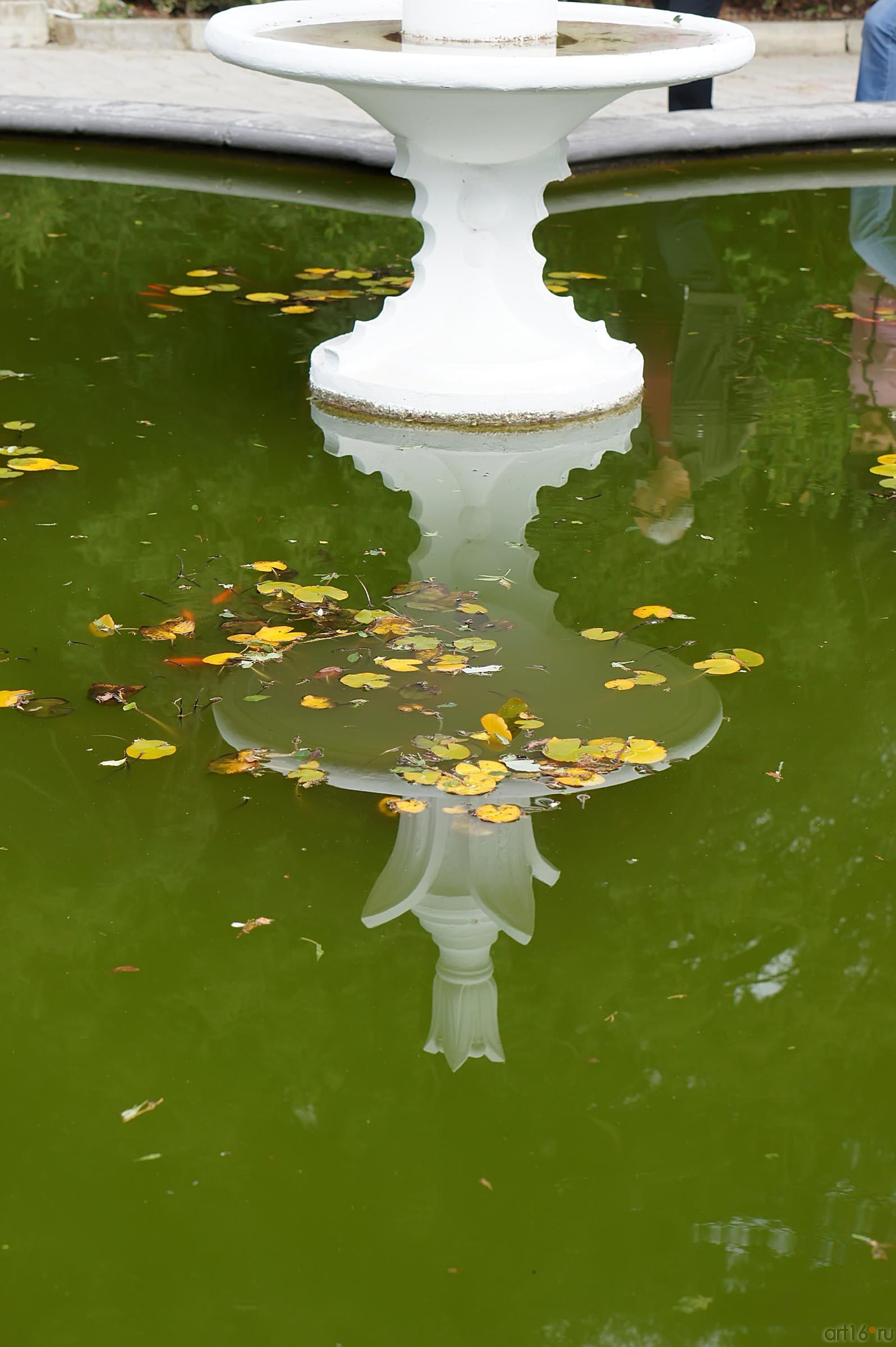 Фонтан. Никитский ботанический сад::Никитский ботанический сад