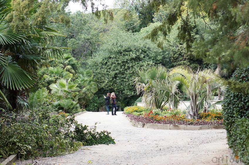 Аллеи. Никитский ботанический сад::Никитский ботанический сад