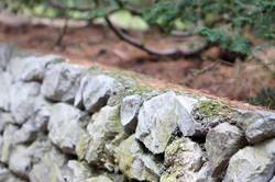  Каменный заборчик. Никитский ботанический сад