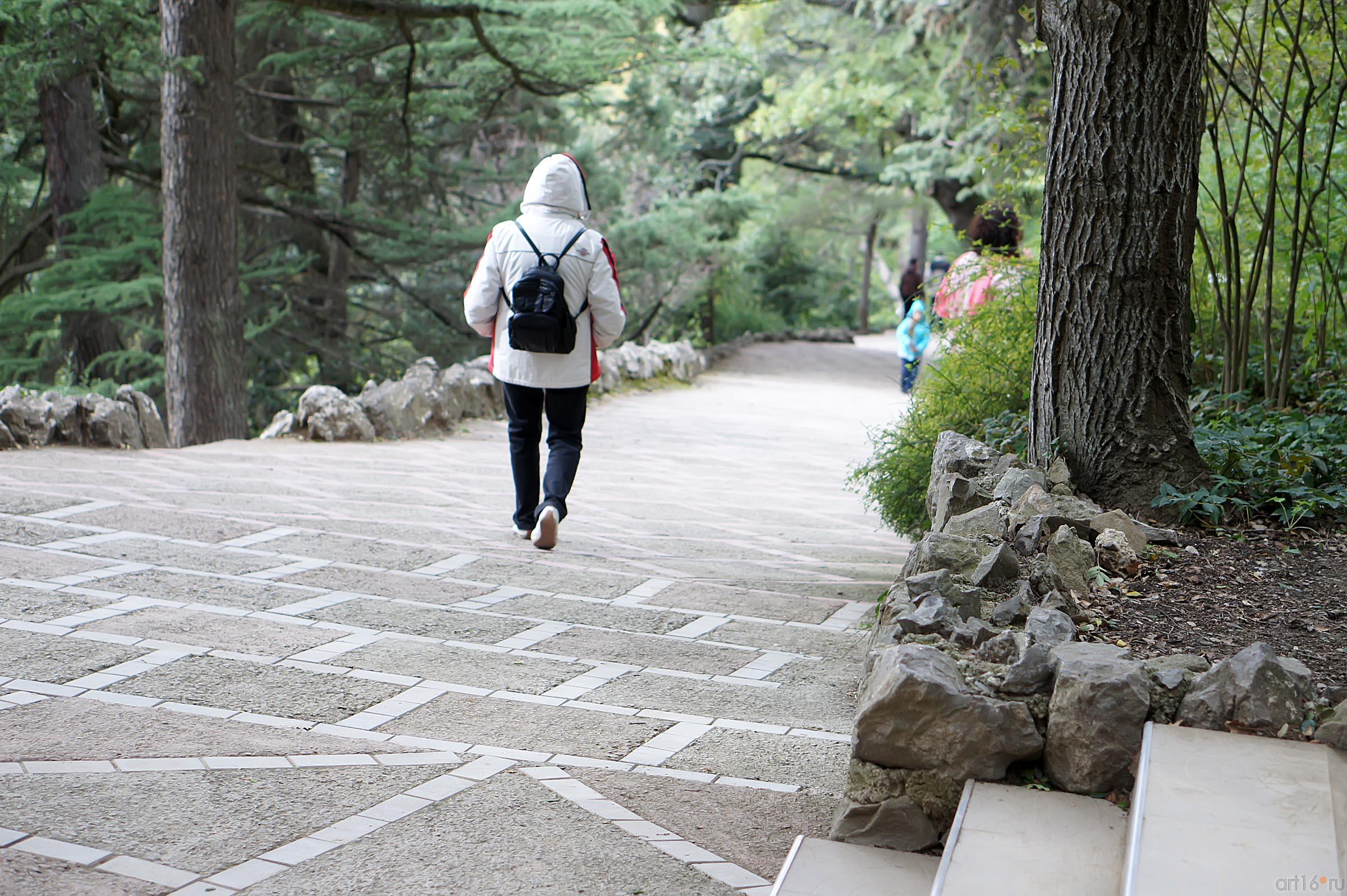 Прогулка по Никитскому ботаническому саду::Никитский ботанический сад