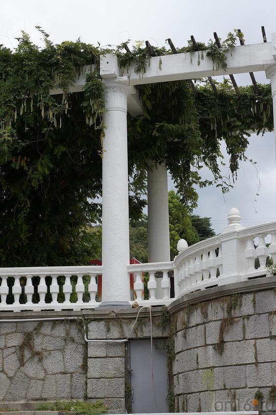 Ограждение верхней терасы Никитского ботанического сада::Никитский ботанический сад