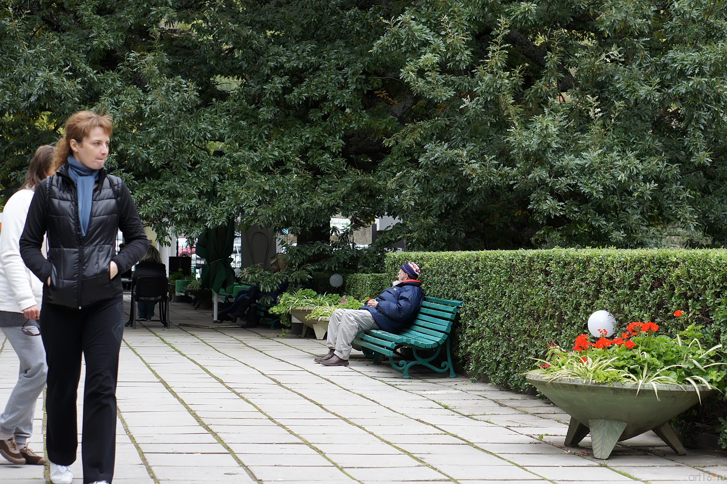 Прогулка по Никитскому ботаническому саду::Никитский ботанический сад