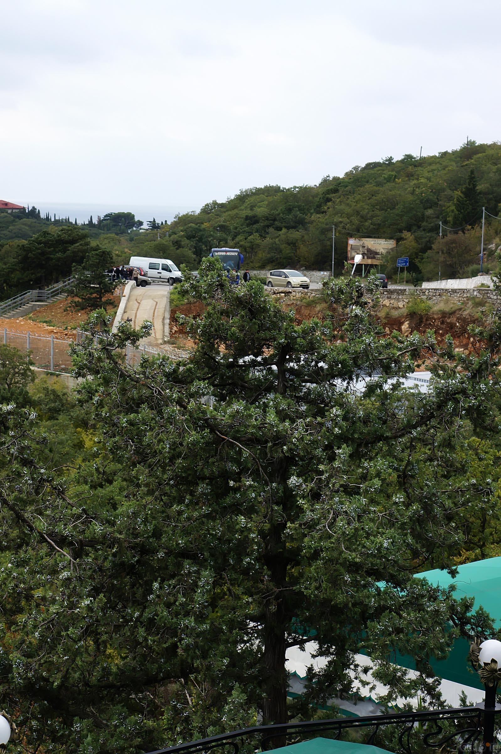 Крым. Вид с лестницы, ведущей к Ласточкиному гнезду ::Ласточкино гнездо