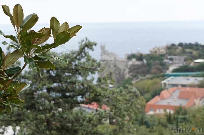 Вид на Ласточкино гнездо::Ласточкино гнездо