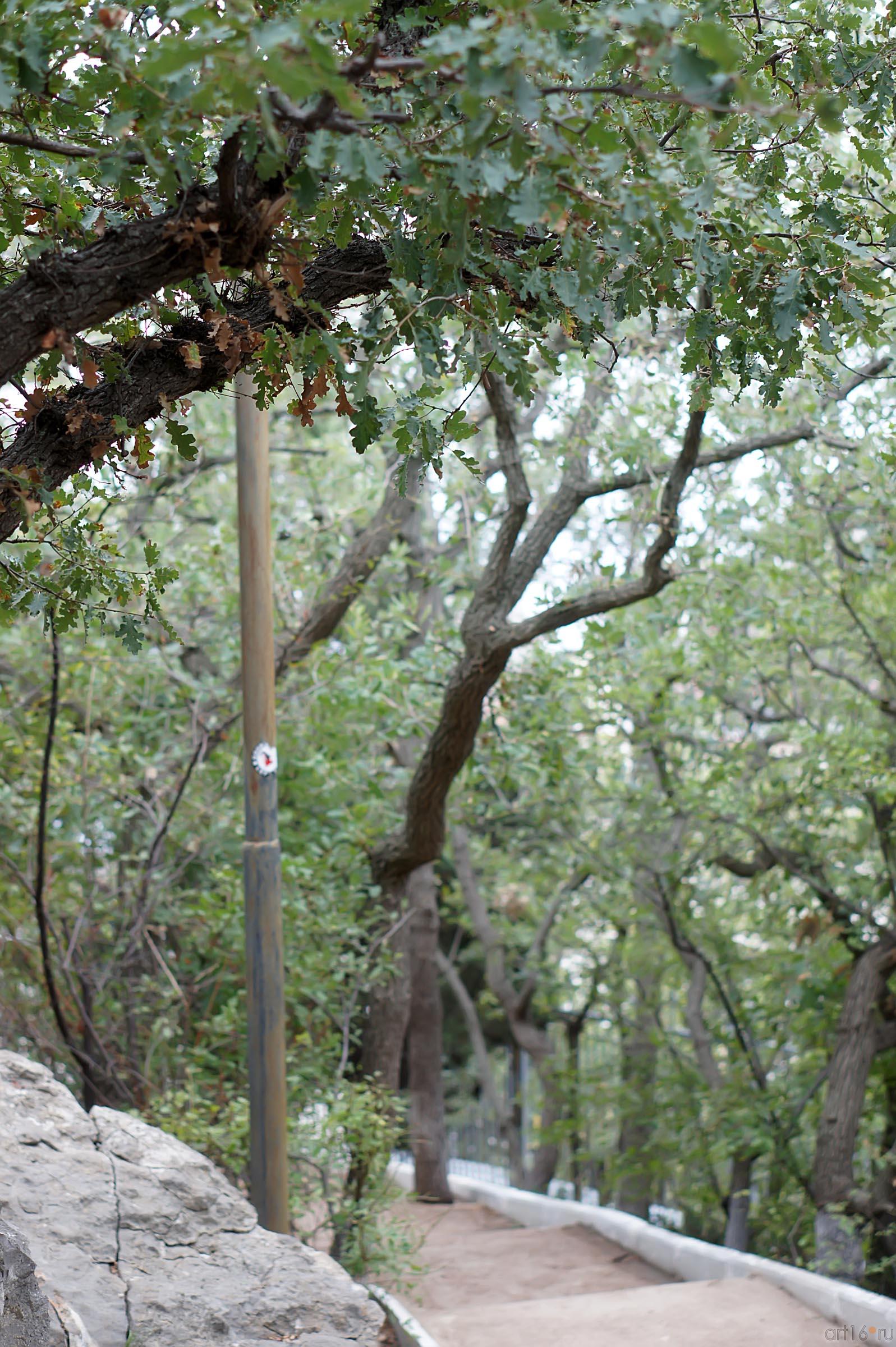 По дороге к Ласточкиному гнезду::Ласточкино гнездо