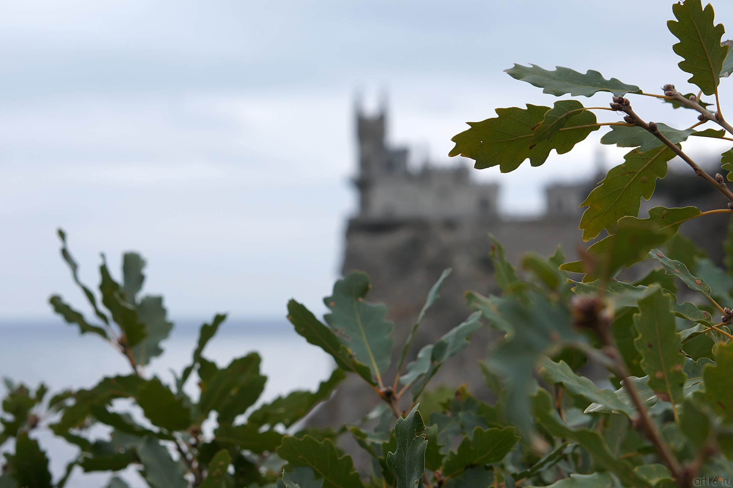 Ласточкино гнездо. Вид со смотровой прлощадки::Ласточкино гнездо