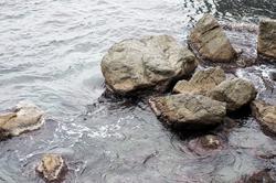 Камни у берега Гурзуфа