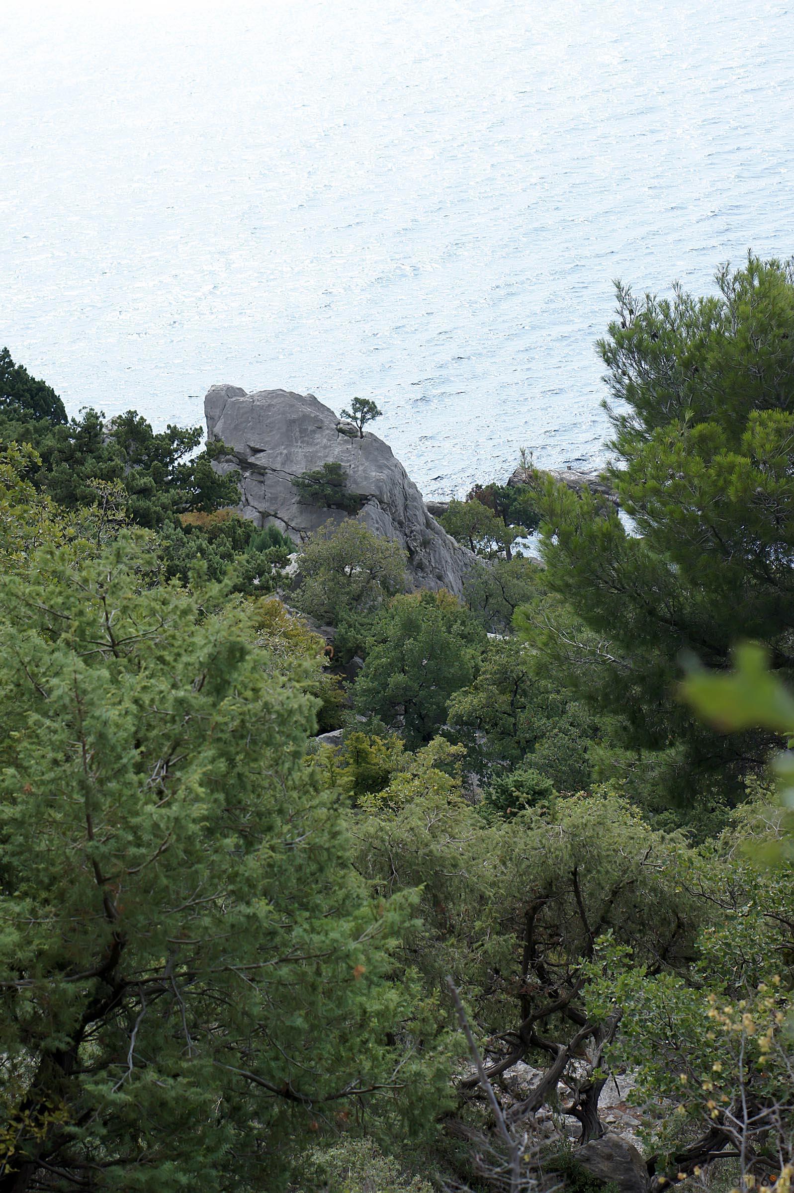 Скалистые горы. Крым::По Южнобережному шоссе. Окрестности Симеиза. Ланшафты. Парки