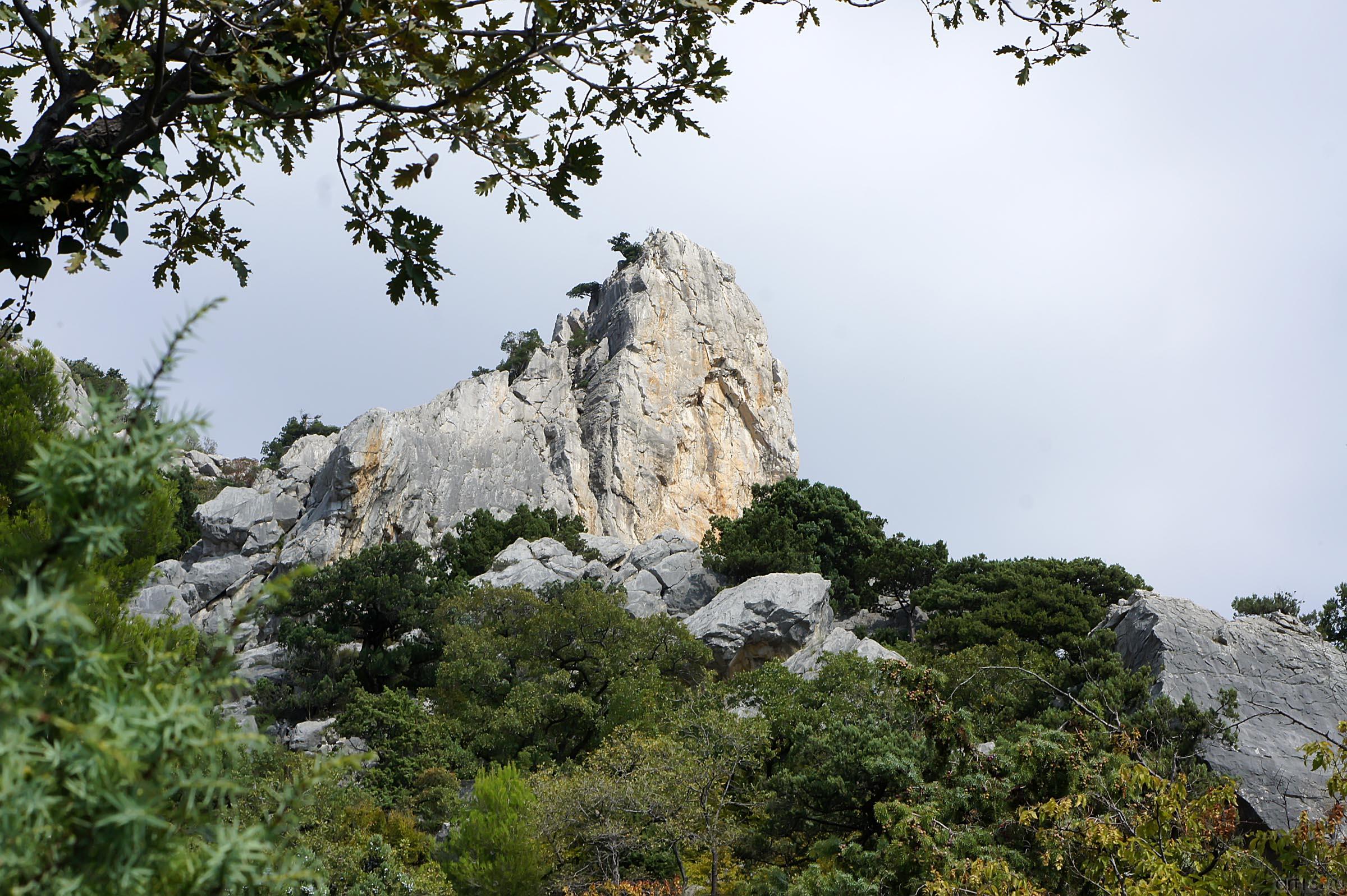 Скалы Крыма::По Южнобережному шоссе. Окрестности Симеиза. Ланшафты. Парки