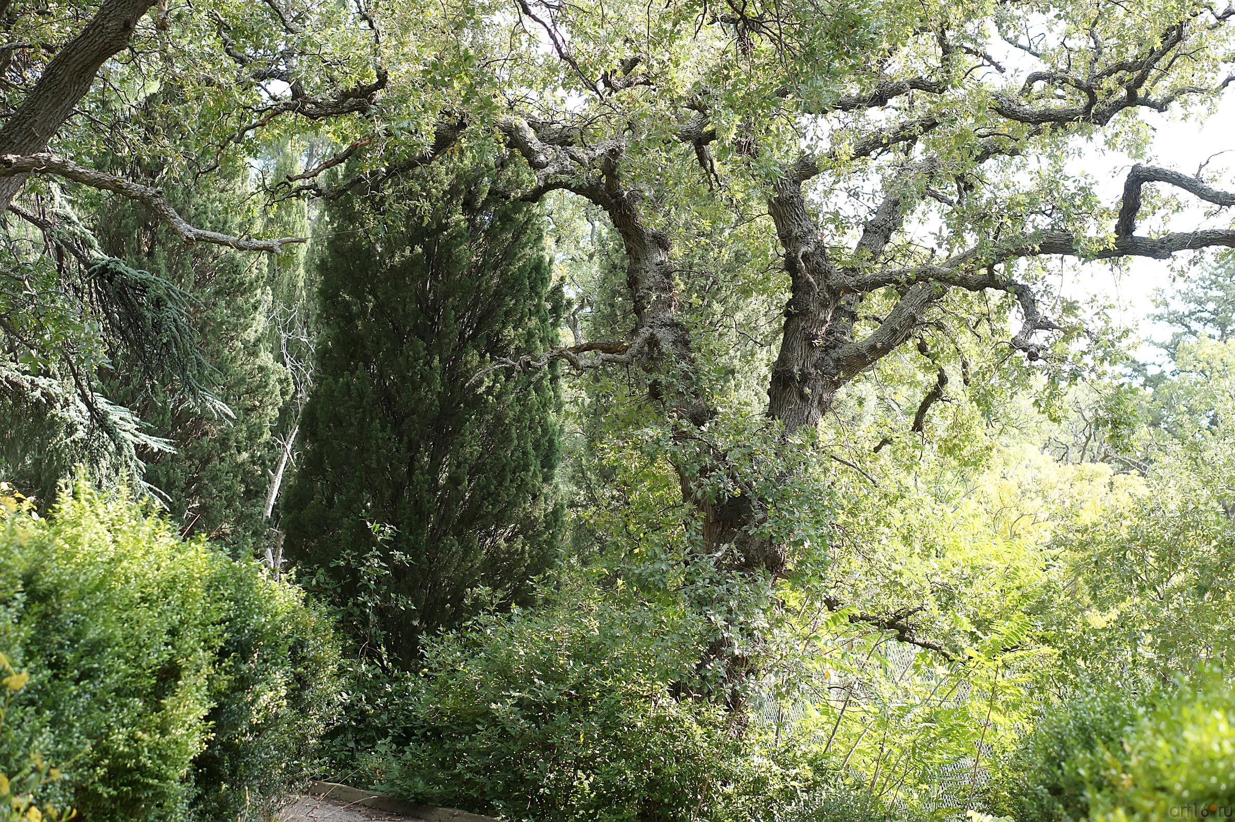 Природа. Крым::По Южнобережному шоссе. Окрестности Симеиза. Ланшафты. Парки