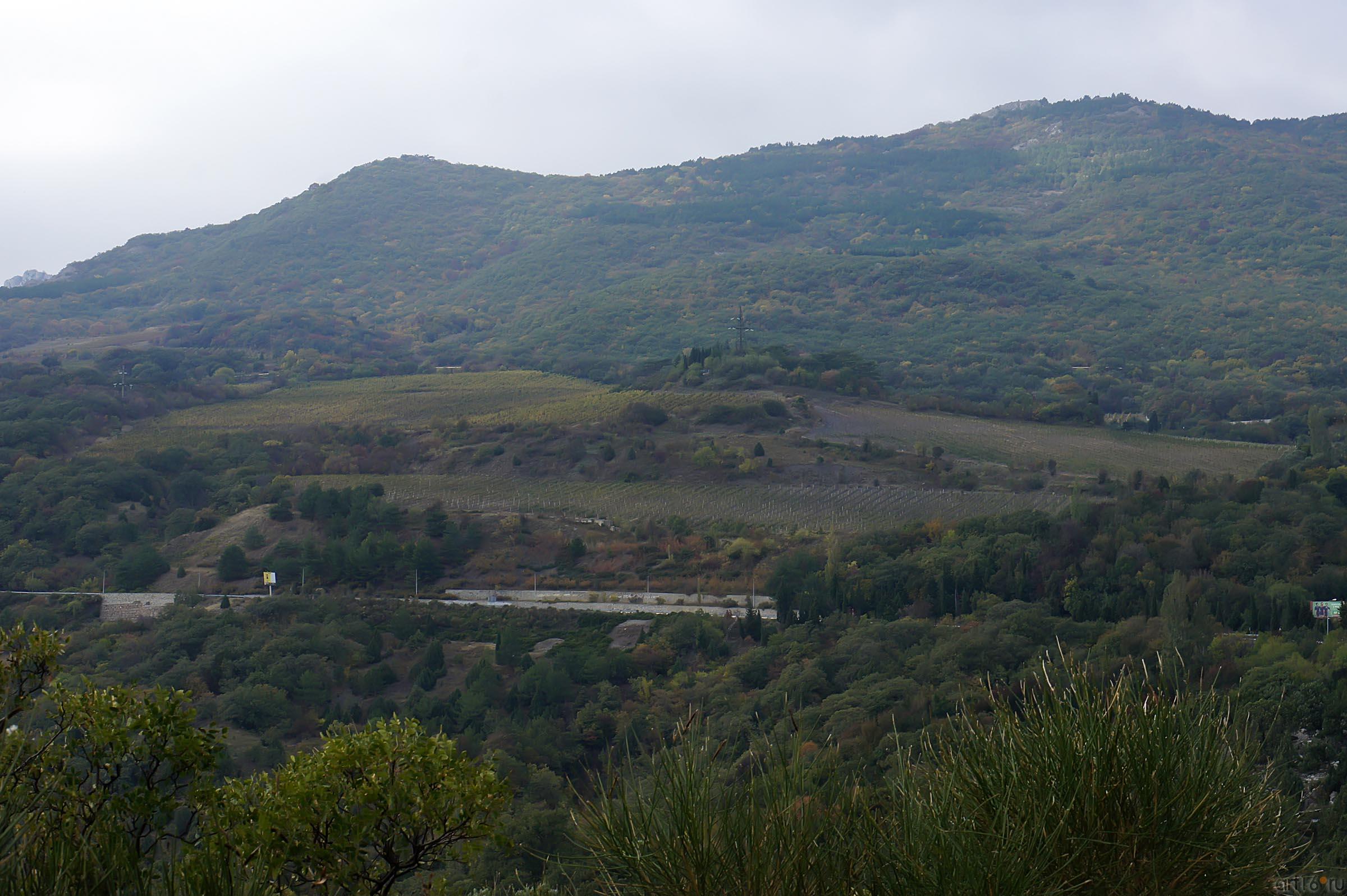 Ланшафты Крыма::Кореиз. Мисхор