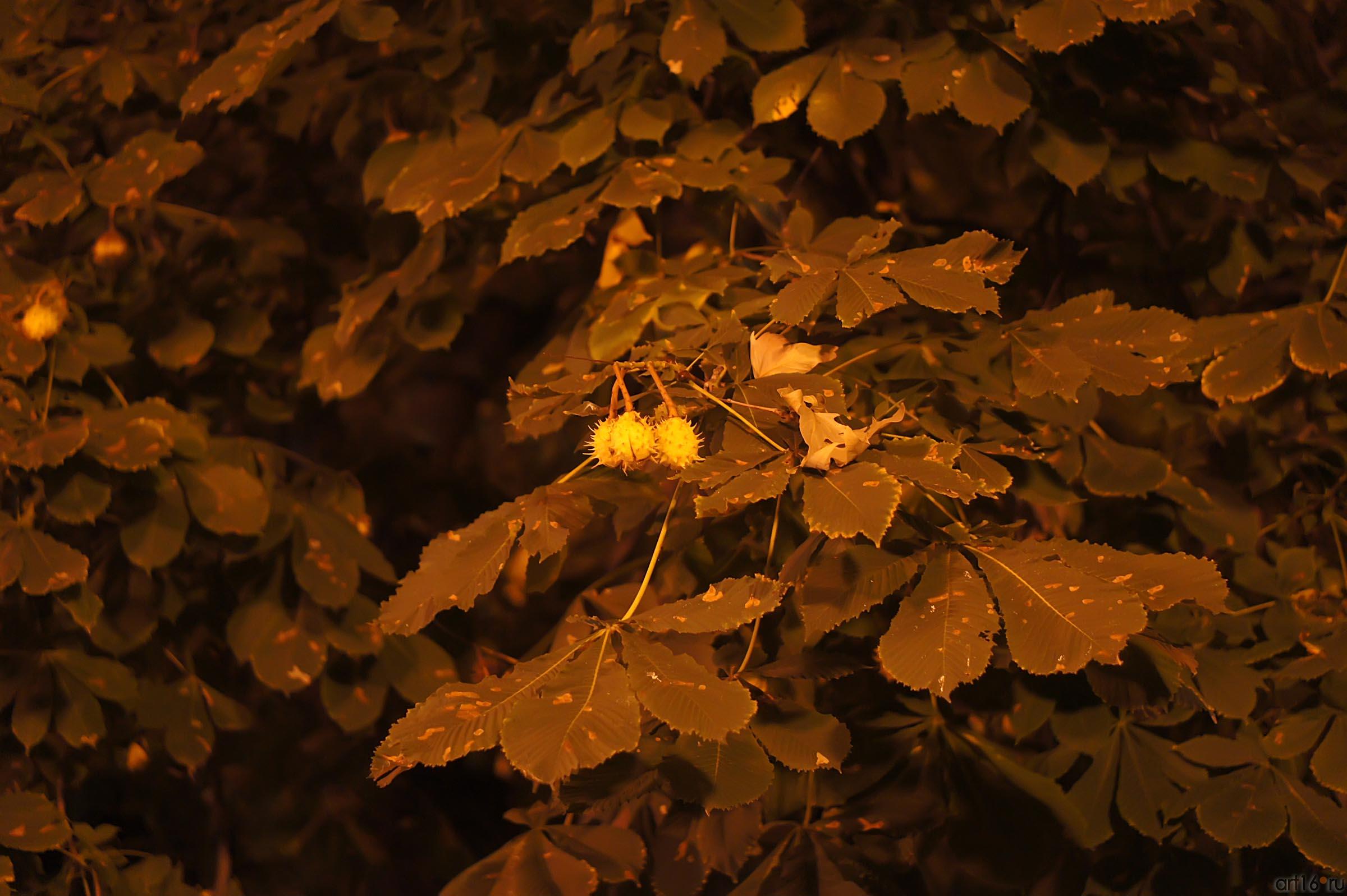 Вечер::Ялта