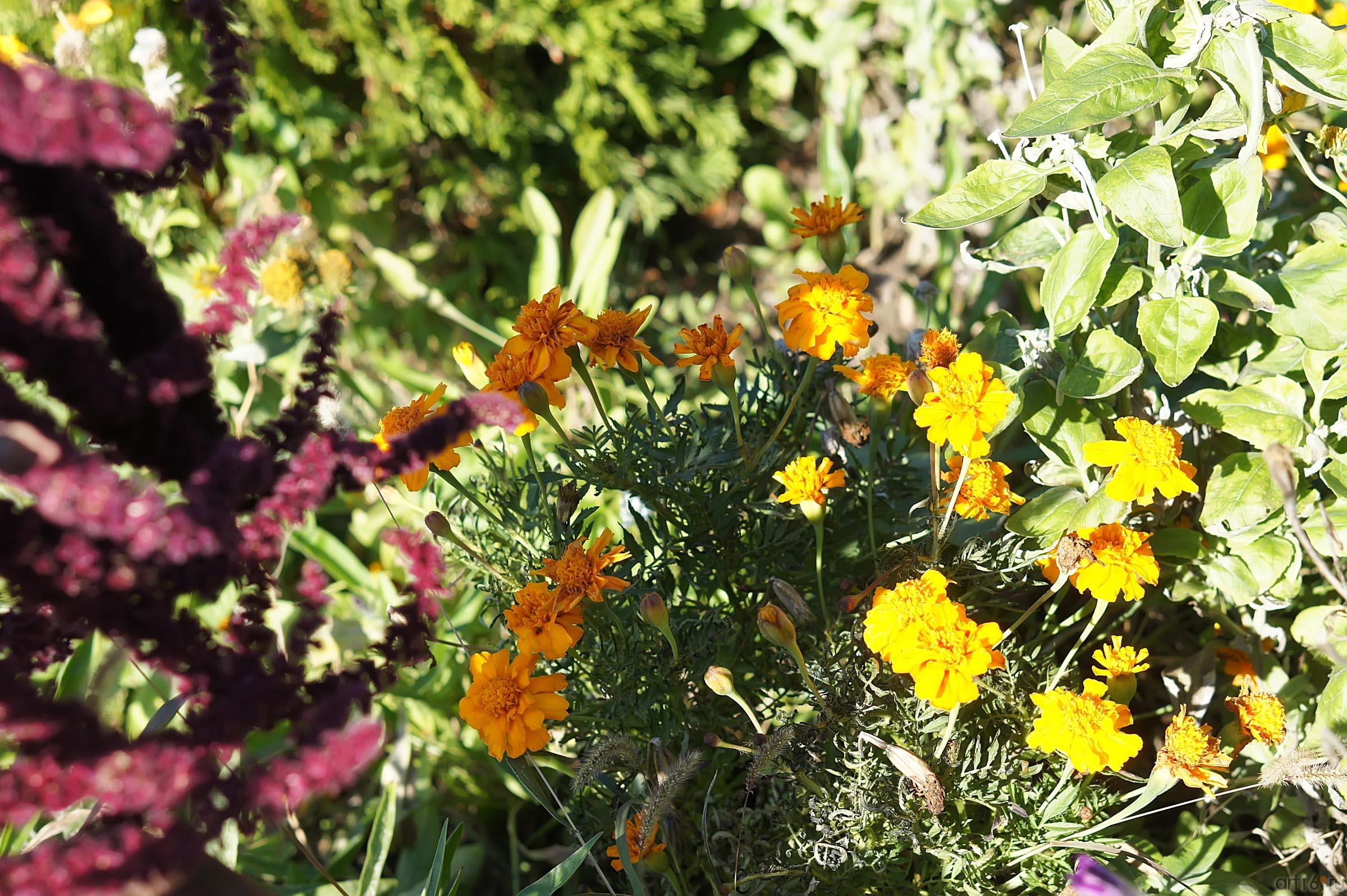 Клумба в аэропорту Симферополя:: Дорога в аэропорт Симферополя